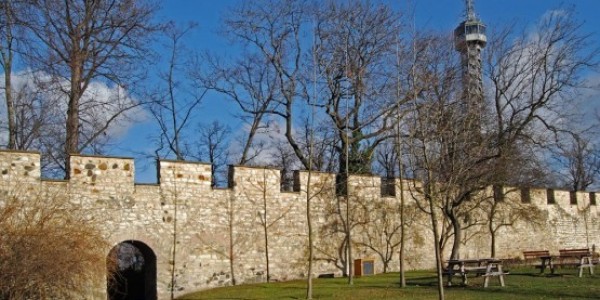 eikona 1- tixos limon