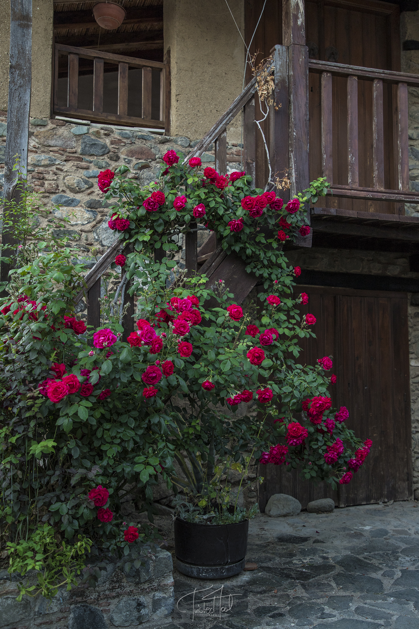 1. ΥΠΟΔΟΧΗ photo