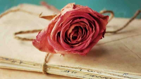 &Mu;έ&chi;&rho;&iota; &nu;&alpha; &alpha;&lambda;&lambda;ά&xi;&epsilon;&iota; &omicron; ά&nu;&epsilon;&mu;&omicron;&sigmaf; - &Mu;&alpha;ί&rho;&eta; &Lambda;&iota;ά&sigma;&kappa;&alpha; &Mu;&alpha;&upsilon;&rho;ά&kappa;&eta;