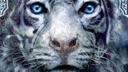 &Eta; &kappa;&alpha;&tau;ά&rho;&alpha; &tau;&omicron;&upsilon; &tau;ί&gamma;&rho;&eta;