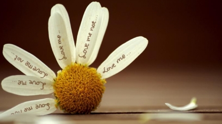 "&Mu;' &alpha;&gamma;&alpha;&pi;ά&epsilon;&iota;, &delta;&epsilon;&nu; &mu;' &alpha;&gamma;&alpha;&pi;ά&epsilon;&iota;" &tau;&eta;&sigmaf; Ά&lambda;&iota;&sigmaf; &Mu;&omicron;ύ&nu;&rho;&omicron;