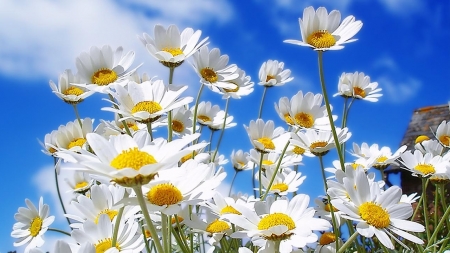 "Ό&sigma;&alpha; &pi;&omicron;&tau;έ &delta;&epsilon;&nu; &xi;&epsilon;&pi;&epsilon;&rho;ά&sigma;&alpha;&mu;&epsilon;" &alpha;&pi;ό &tau;&eta;&nu; &sigma;&upsilon;&gamma;&gamma;&rho;&alpha;&phi;έ&alpha; Lucy Score